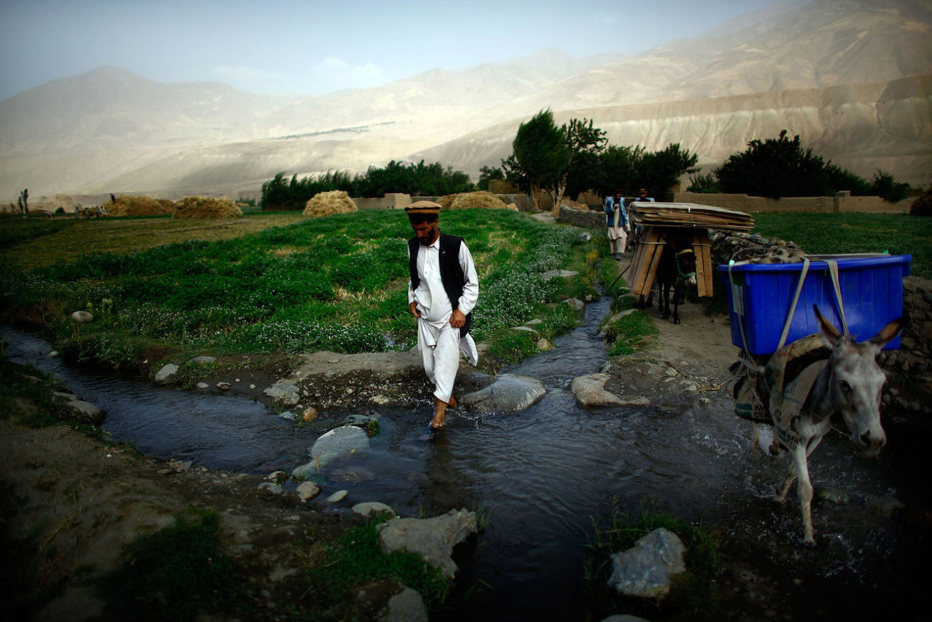 Día de elecciones en Afganistán (2009). La cámara de Gilkey capturó el momento en que urnas y material electoral es transportado por burros y oficiales, en la provincia de Badakhshan