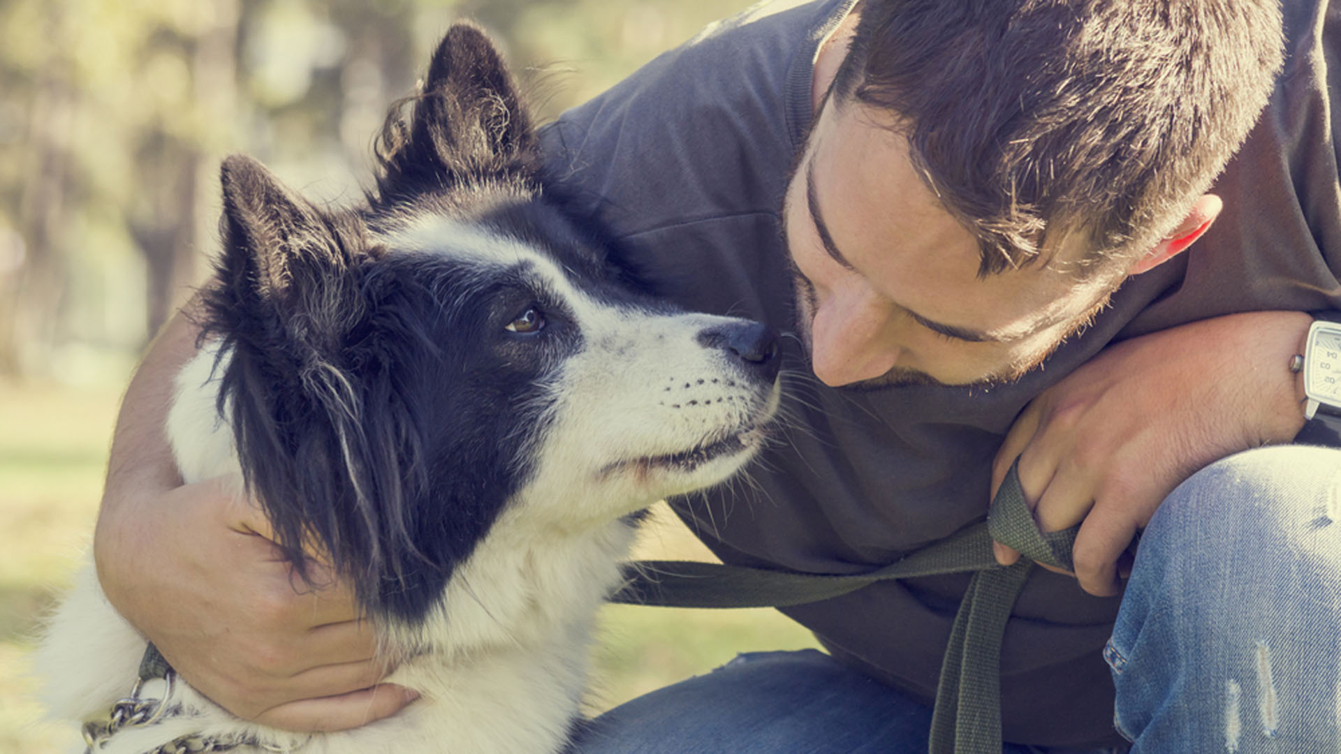 Los especialistas afirmaron que esta comprensión lingüística puede estar relacionada con el desarrollo de la domesticación canina y su propio proceso de adaptación al entorno del ser humano (iStock)