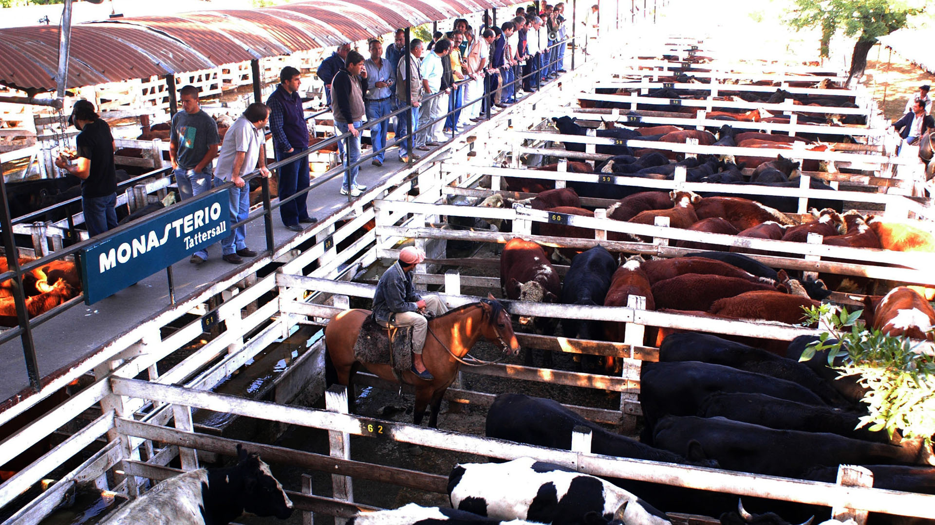 Comienza el traslado del Mercado de Hacienda de Liniers a La Matanza