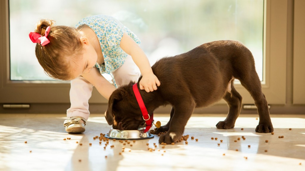 Los cachorros comen el equivalente a su peso corporal (Shutterstock)