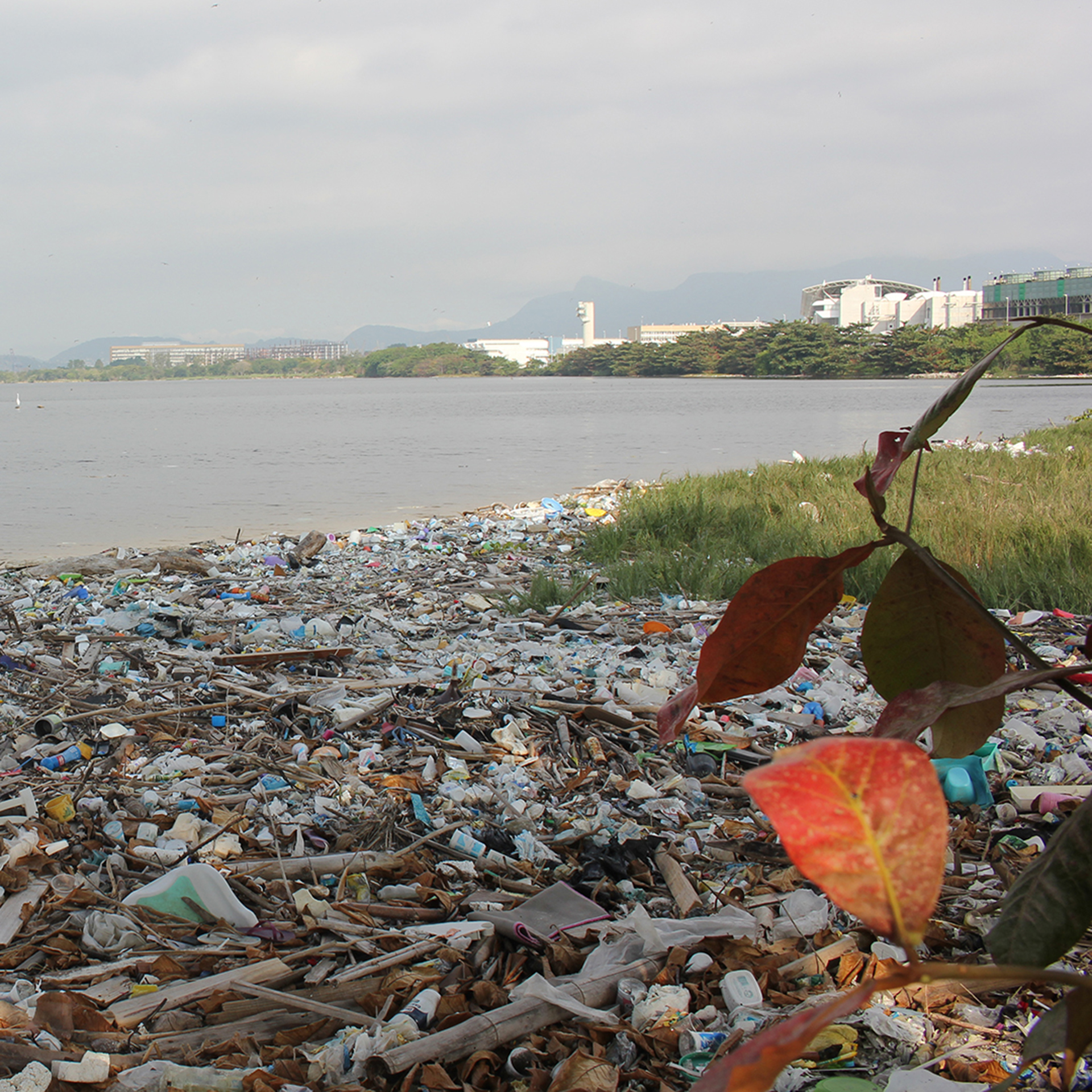 La acumulación de basura y plásticos se vive en varios puntos costeros del país
