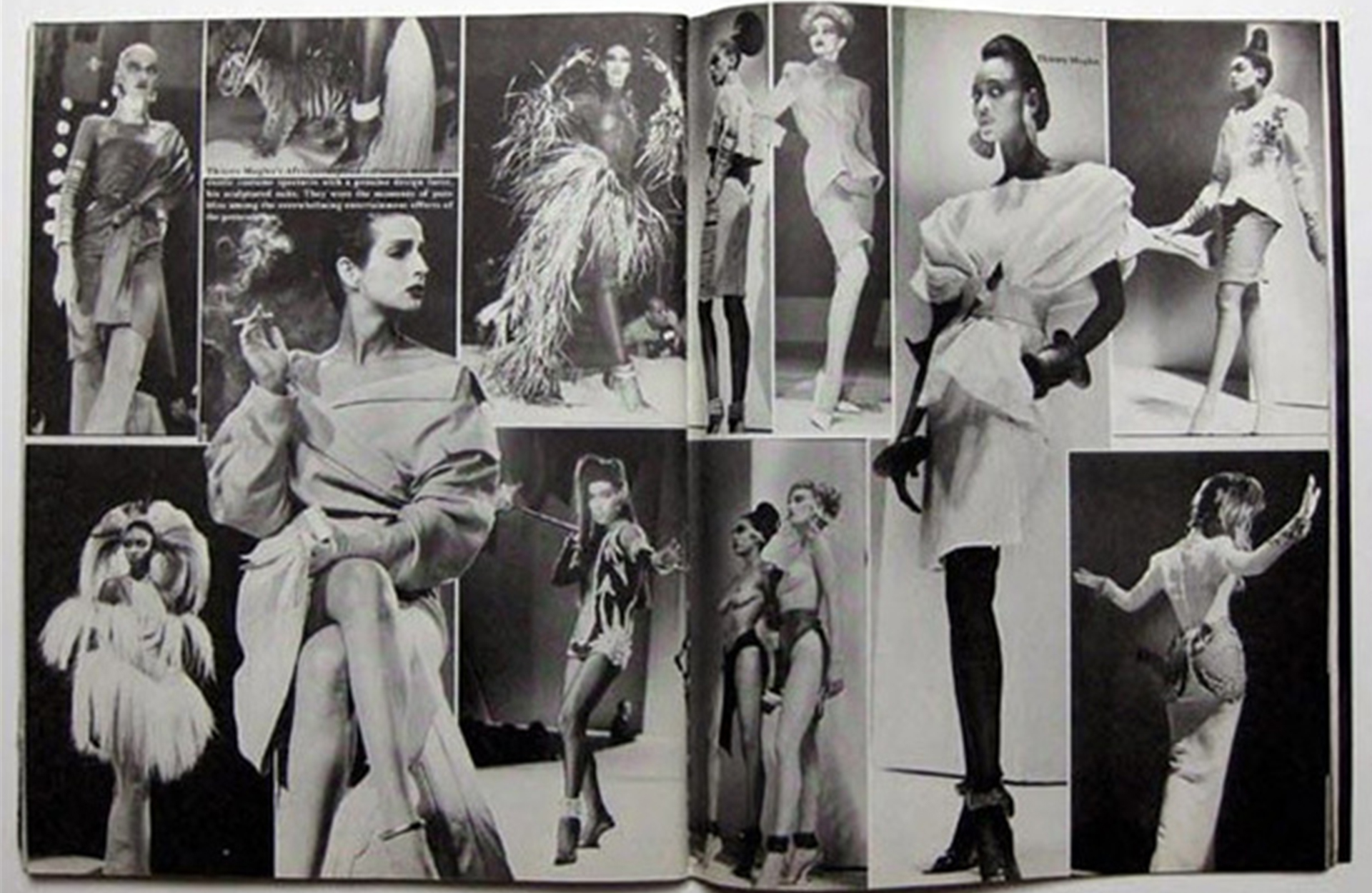 (Bill Cunningham)