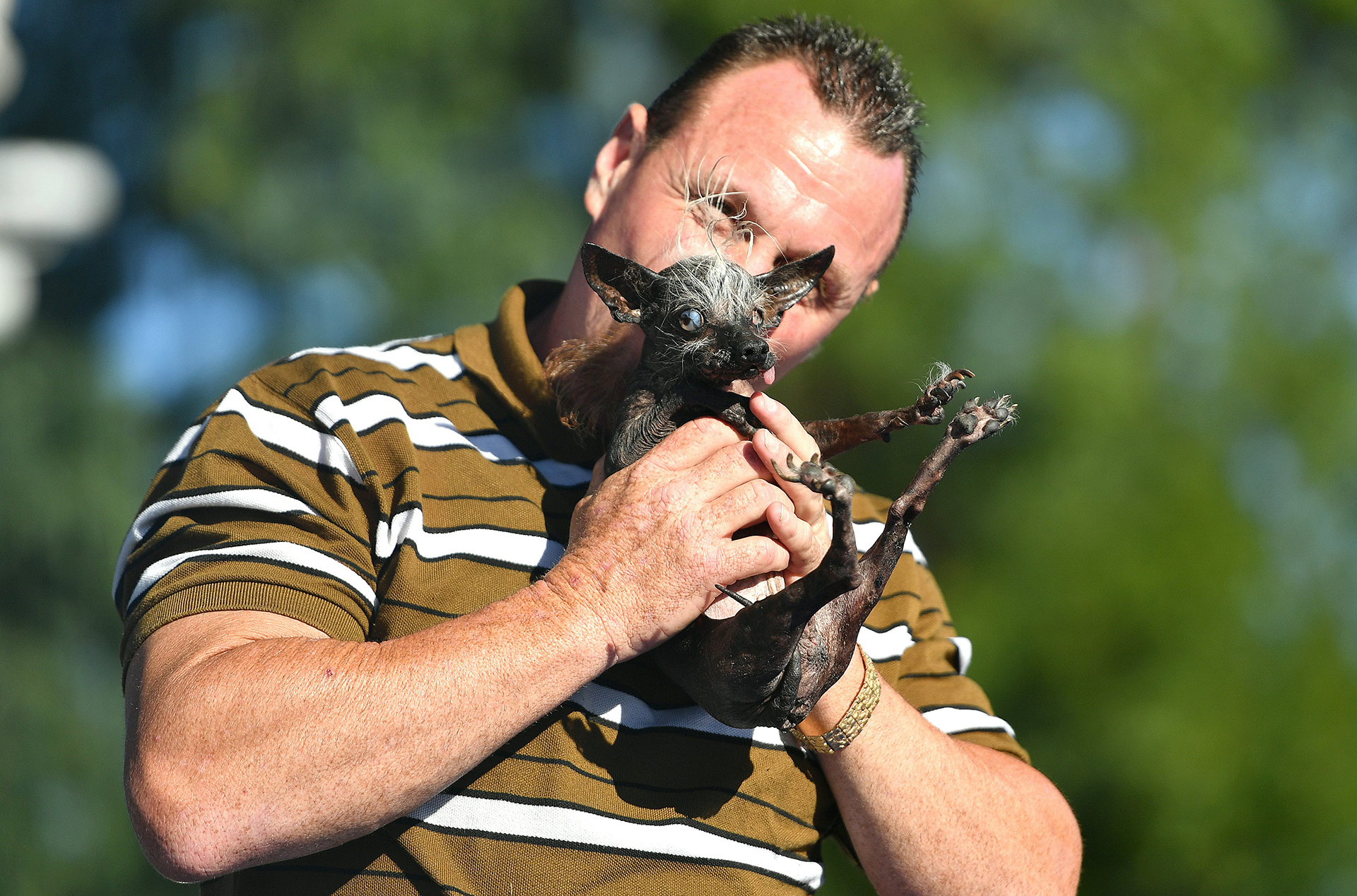 Sweepie Rambo se alzó con el primer premio de 1500 dólares (AFP)