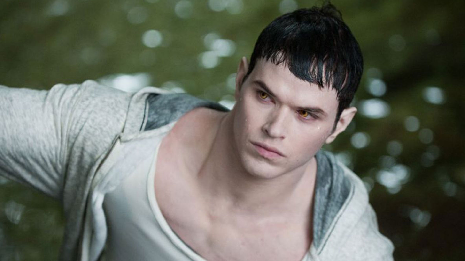 Kellan Lutz, en la saga Crepúsculo