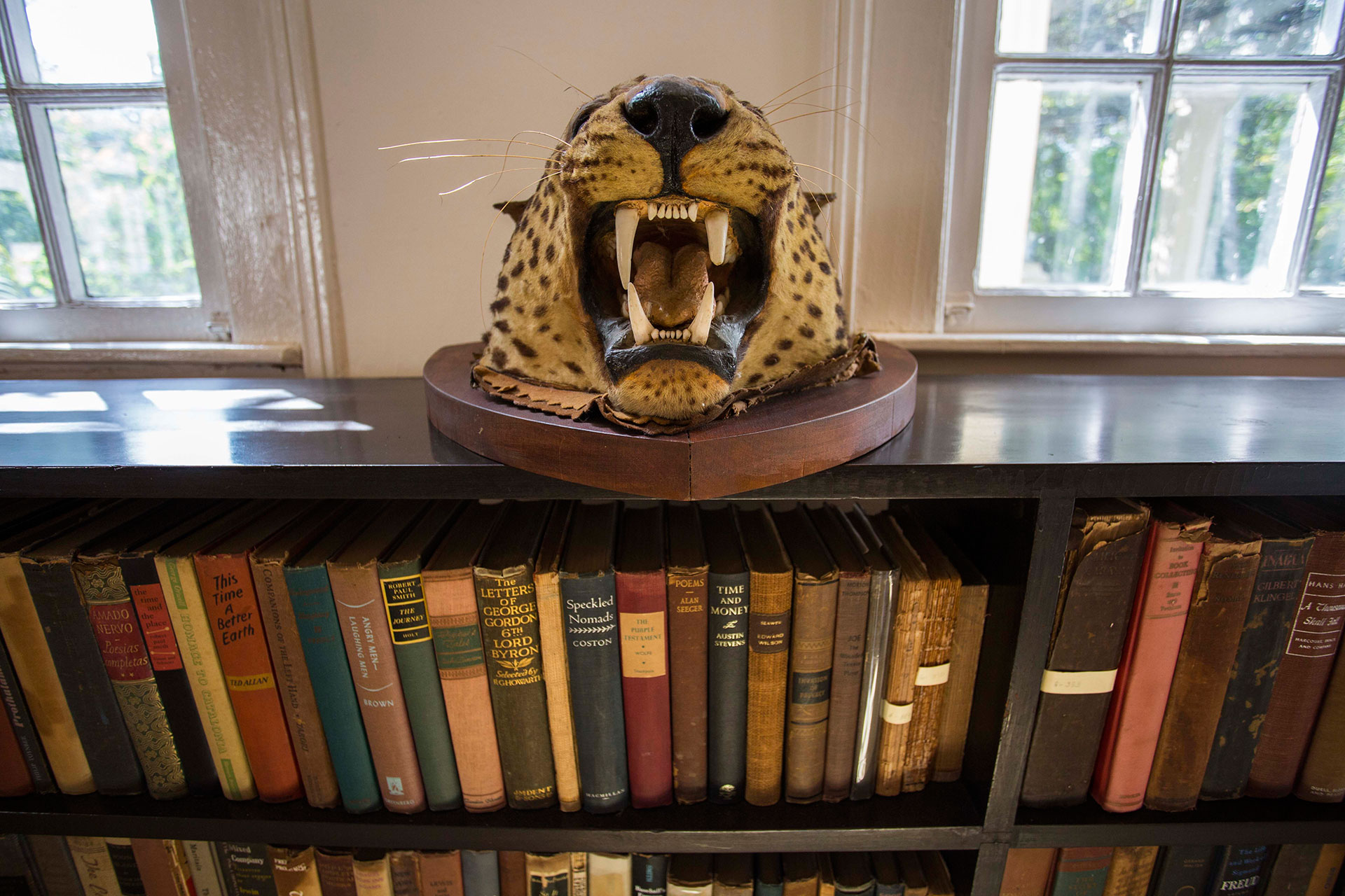 Parte de la biblioteca de la casa en Cuba de Hemingway