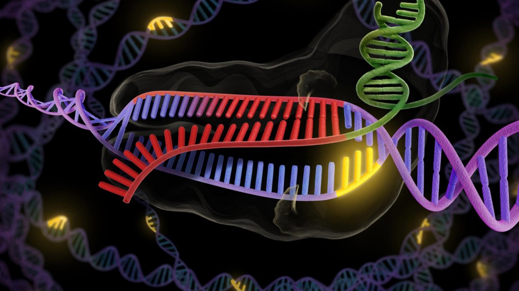 Nueva era: la máquina editora de genes es una realidad - Infobae