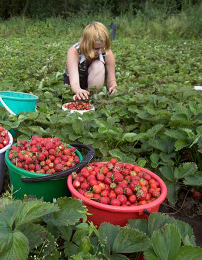 Las mujeres sufren de acoso laboral y sexual en varias partes del mundo