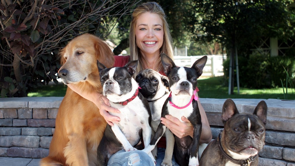 Denise Richards, siempre presente en los eventos sociales en defensa de los derechos de los animales