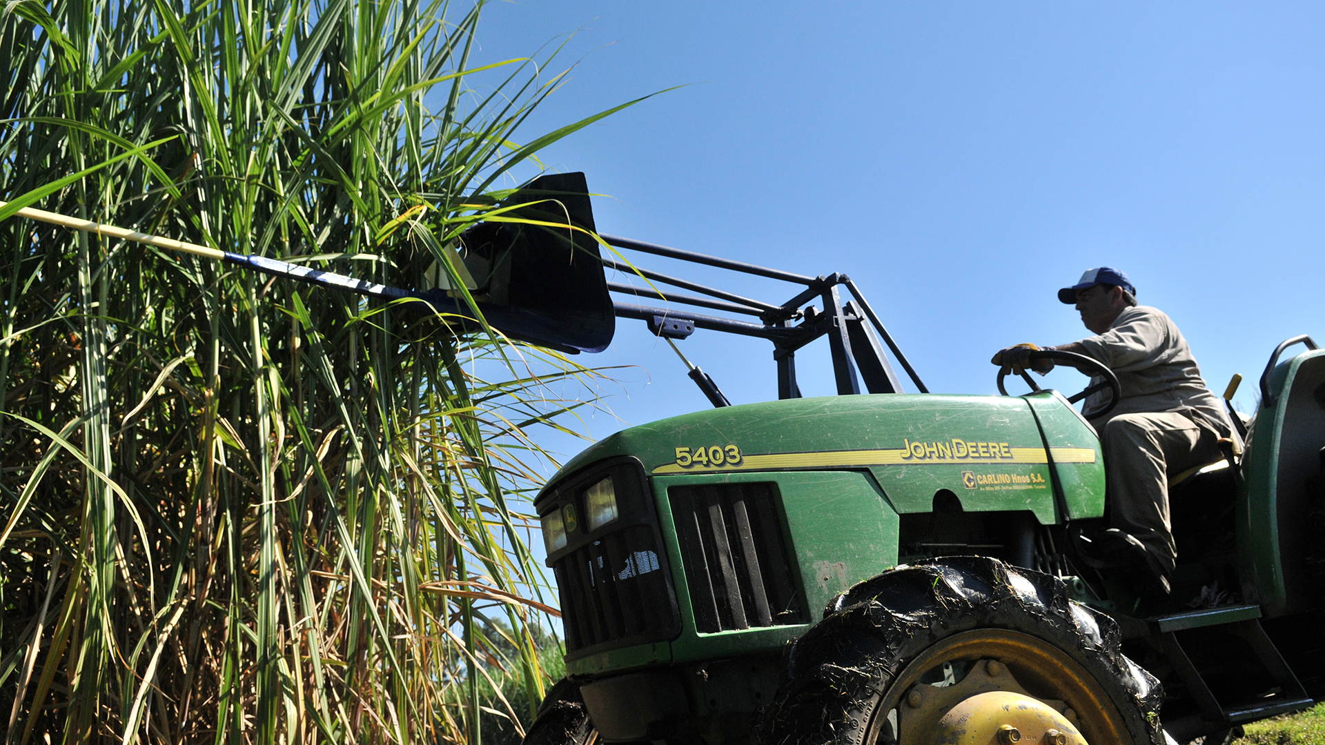 Los industriales aseguran que necesitan liquidez para pagar a proveedores y productores (Foto: Archivo)