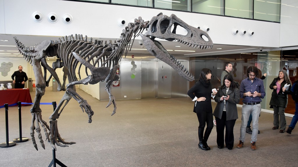 La réplica del Gualicho Shinya en Buenos Aires plantea un campo paleontológico desconocido (Nicolás Stulberg)