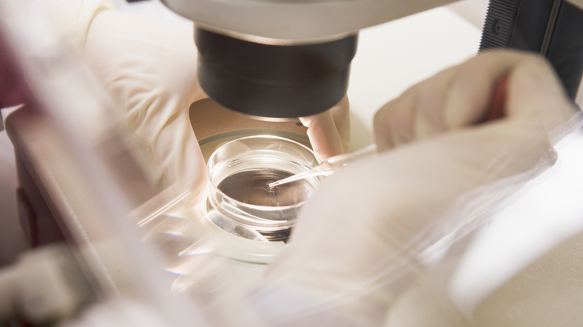 El congelamiento de óvulos o preservación de la fertilidad es recomendable a edades tempranas (Shutterstock)
