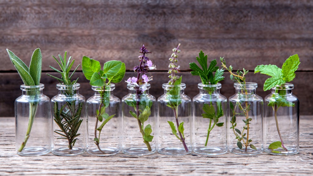 La homeopatía unicista administra un solo medicamento con el que procura exaltar la tendencia natural del organismo hacia su curación (Shuttersotck)