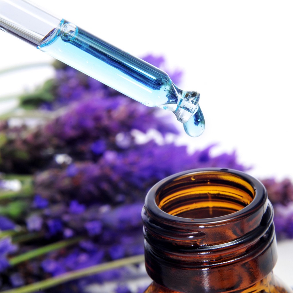 Estos remedios florales fueron descubiertos por el médico galés Edward Bach (Shutterstock)