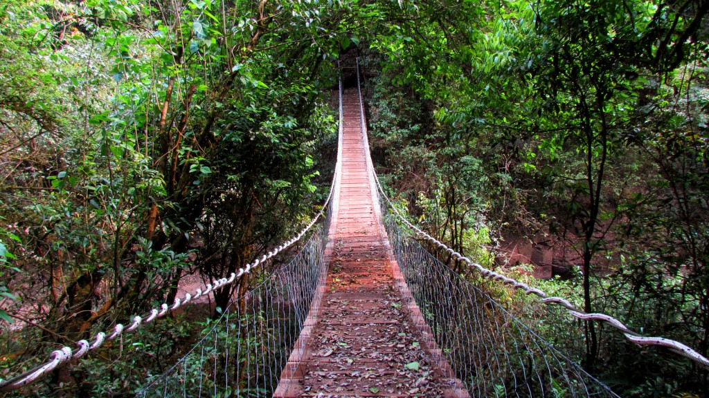 El alojamiento se encuentra en el corazón de la selva misionera