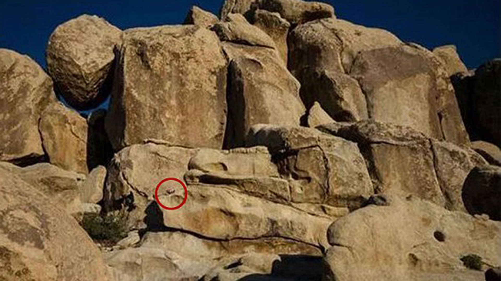 La pequeña asoma desde entre las rocas