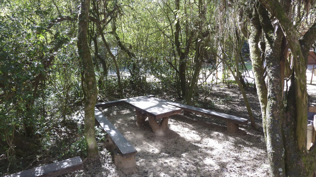Área de descanso en la entrada de la reserva (R.Peiró)
