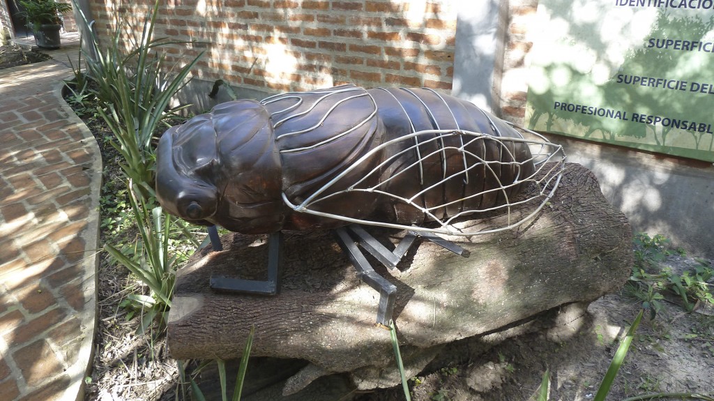 Coyuyo (cigarra), escultura donada por la Fundación Urunday a la reserva Los Chaguares (R.Peiró)