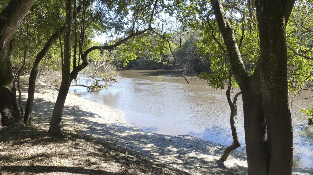 Los Chaguares se encuentra en el sitio Ramsar “Humedales Chaco” (foto: R.Peiró)