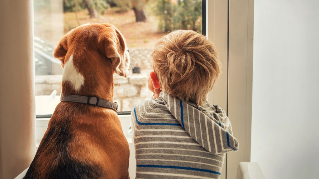 Crecer con una mascota ayuda a fomentar la responsabilidad y la confianza (Shutterstock)