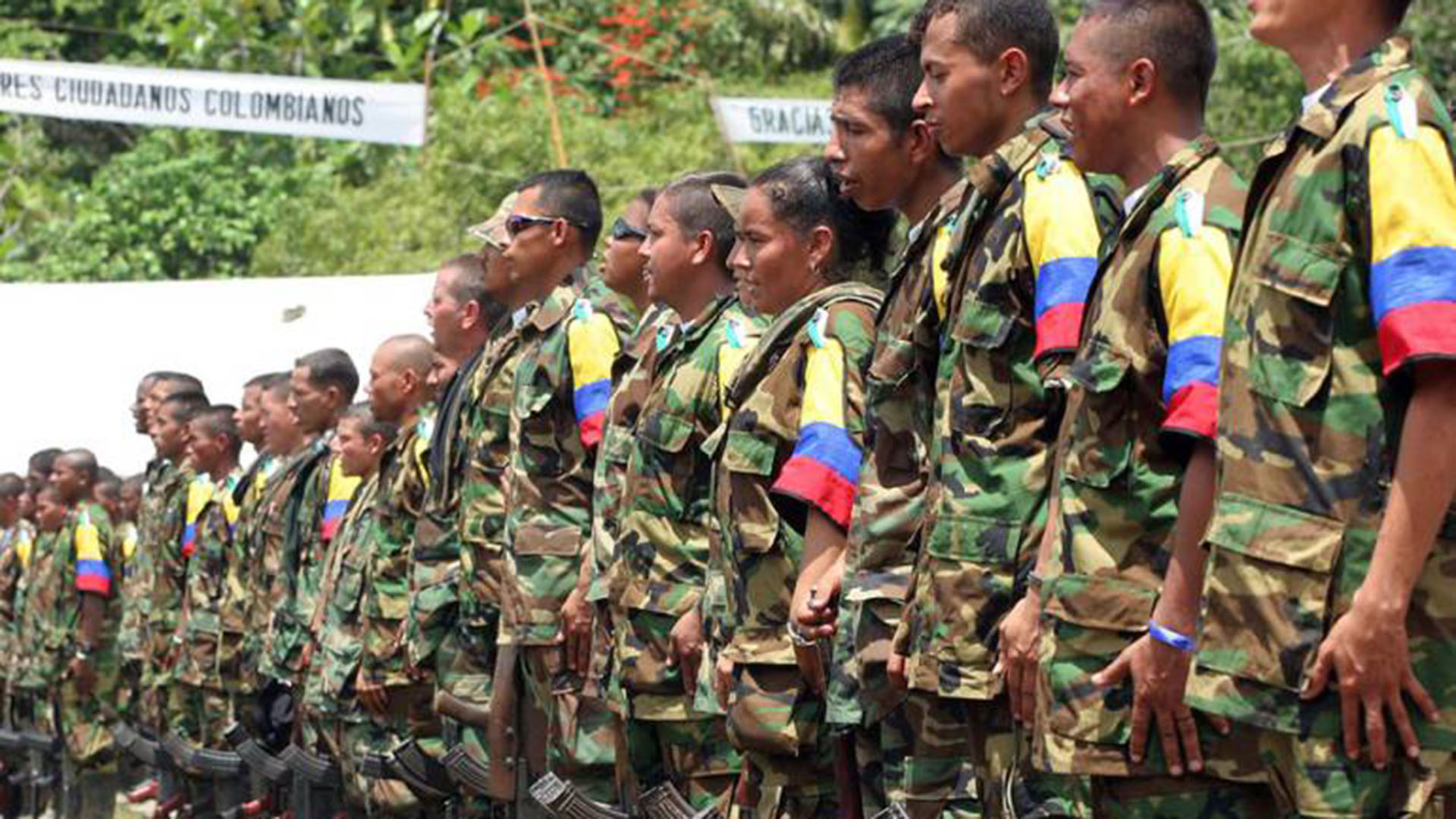Guerrilleros de las FARC