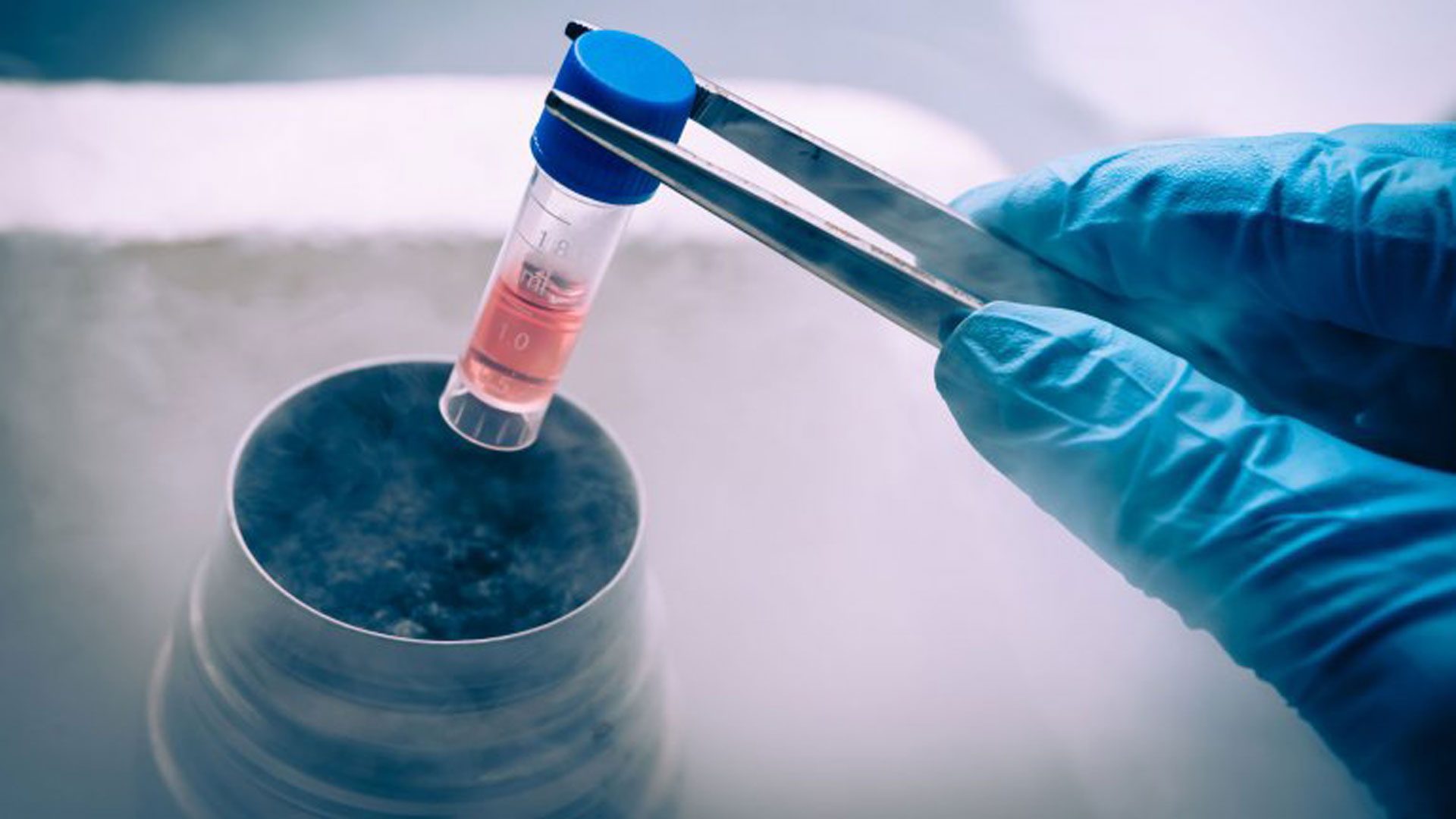 Una encuesta de la OIE reveló que el 29% de los países consultados se usan antibióticos para promover crecimiento de los animales, y que el 27% de ellos aún no tiene un marco regulatorio sobre el tema.