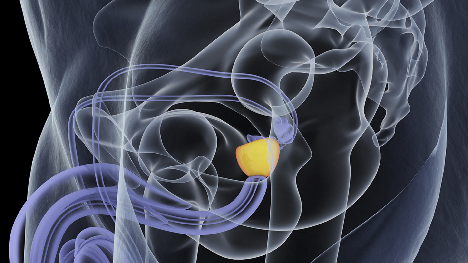 investigación sobre medicina regenerativa prostatitis