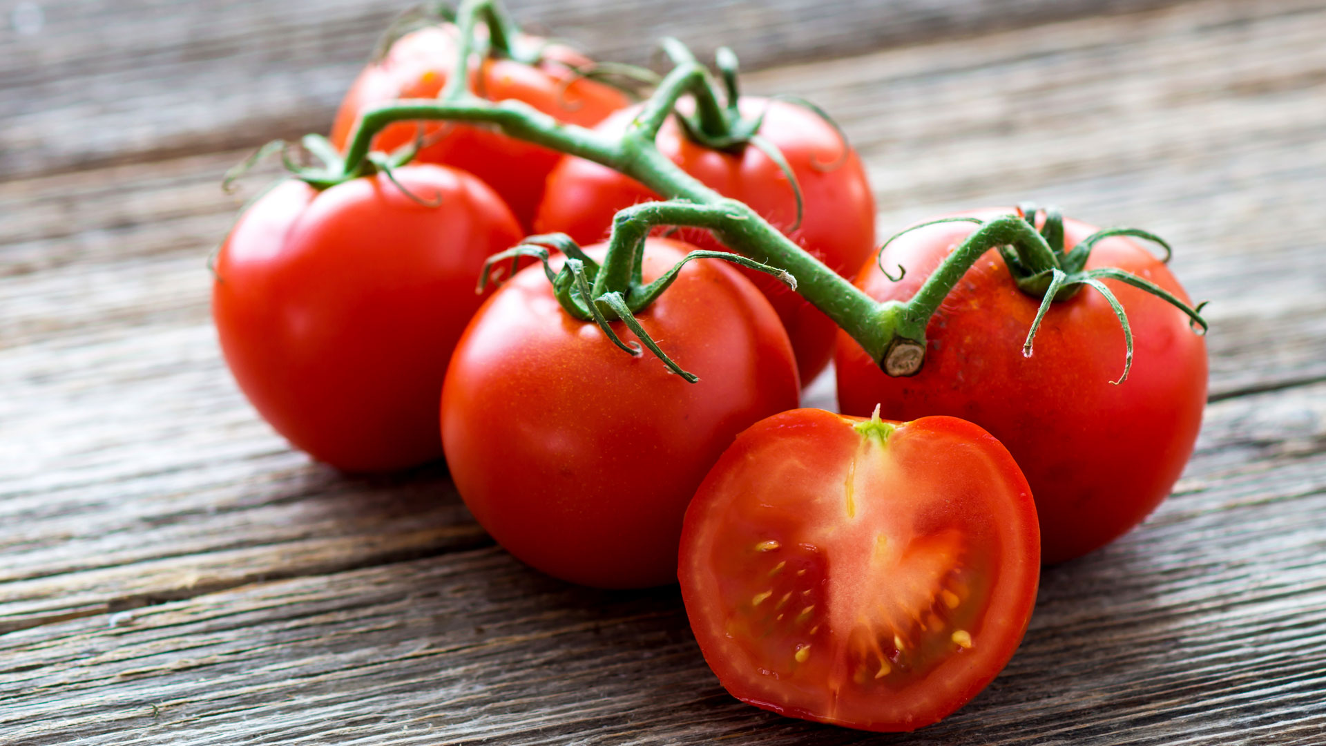 Solo en la región de América Latina la mitad de la producción de tomates se daña y pierde durante la poscosecha (iStock)