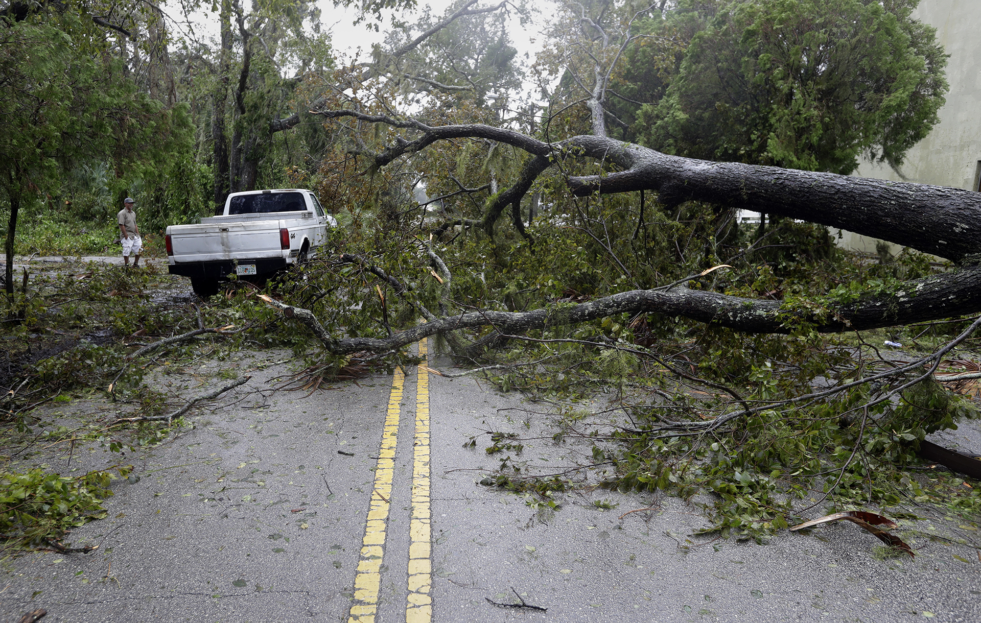 Una camioneta intenta avanzar entre los árboles caídos por efecto de los fuertes vientos en Daytona Beach (AP Photo/Eric Gay)