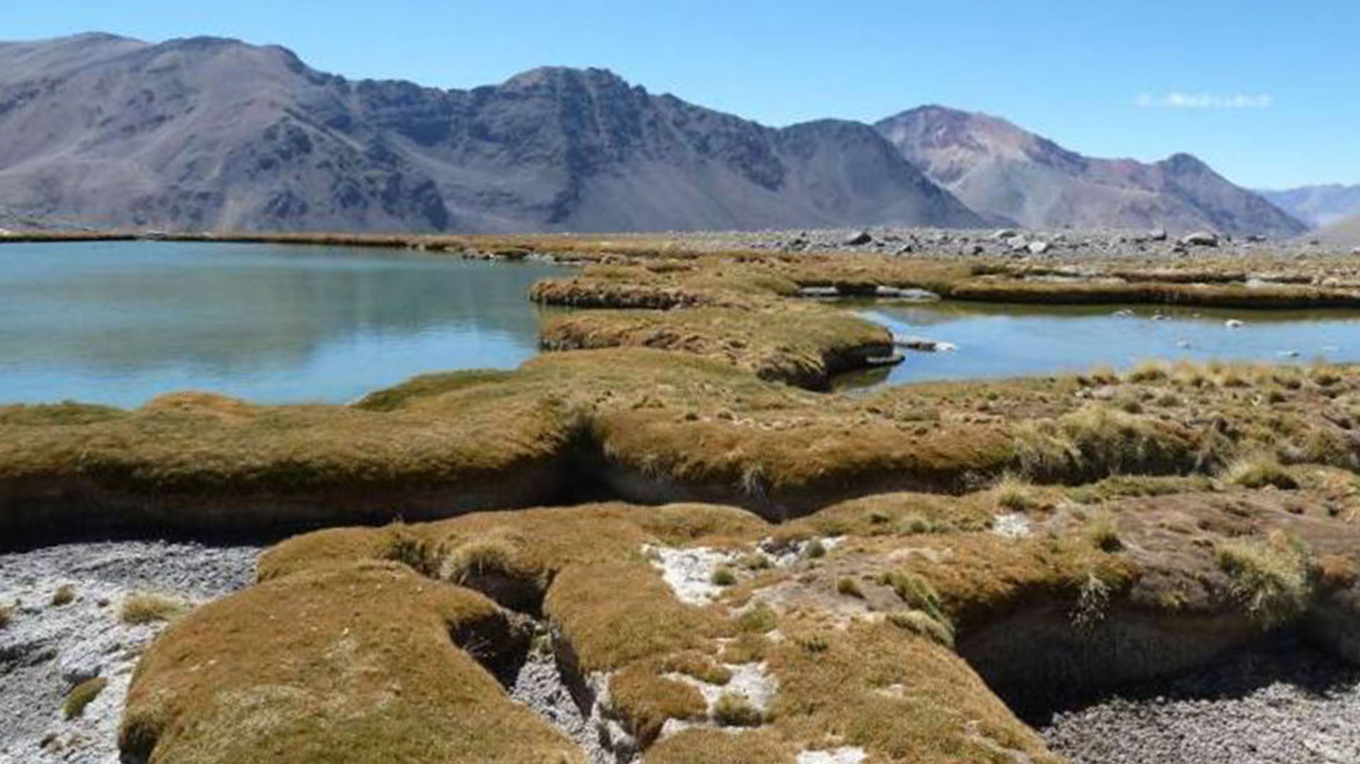 san juan minera contaminacion aguna LC4 pelambres 1920