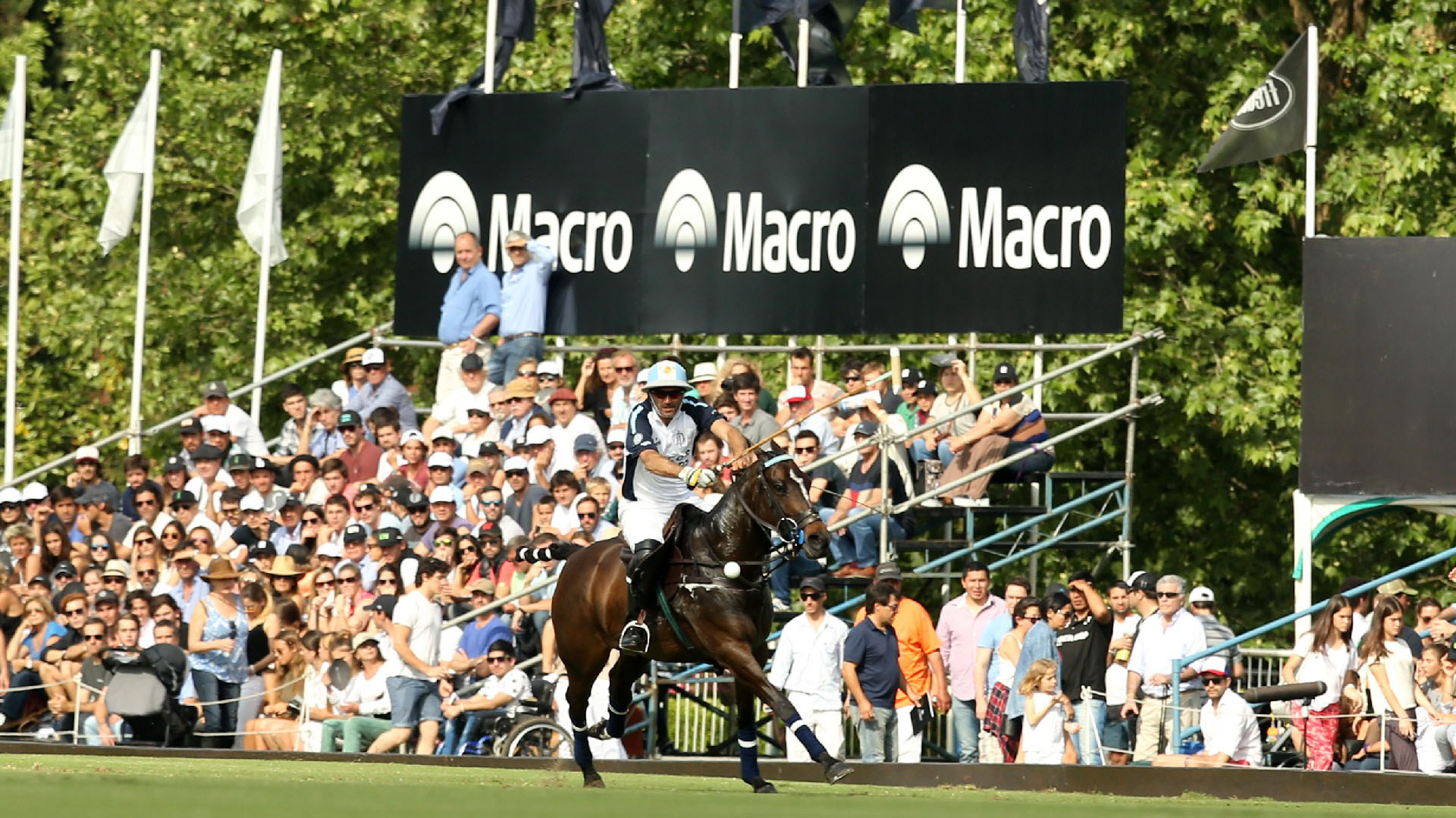 Los seis equipos que compitieron este año, por la 76° Copa Emilio de Anchorena, fueron La Dolfina Sancor Seguros Polo Team (40 goles de handicap), Ellerstina (39), Alegría (37), La Aguada-Las Monjitas (35), El Paraíso (35) y Washington (33)
