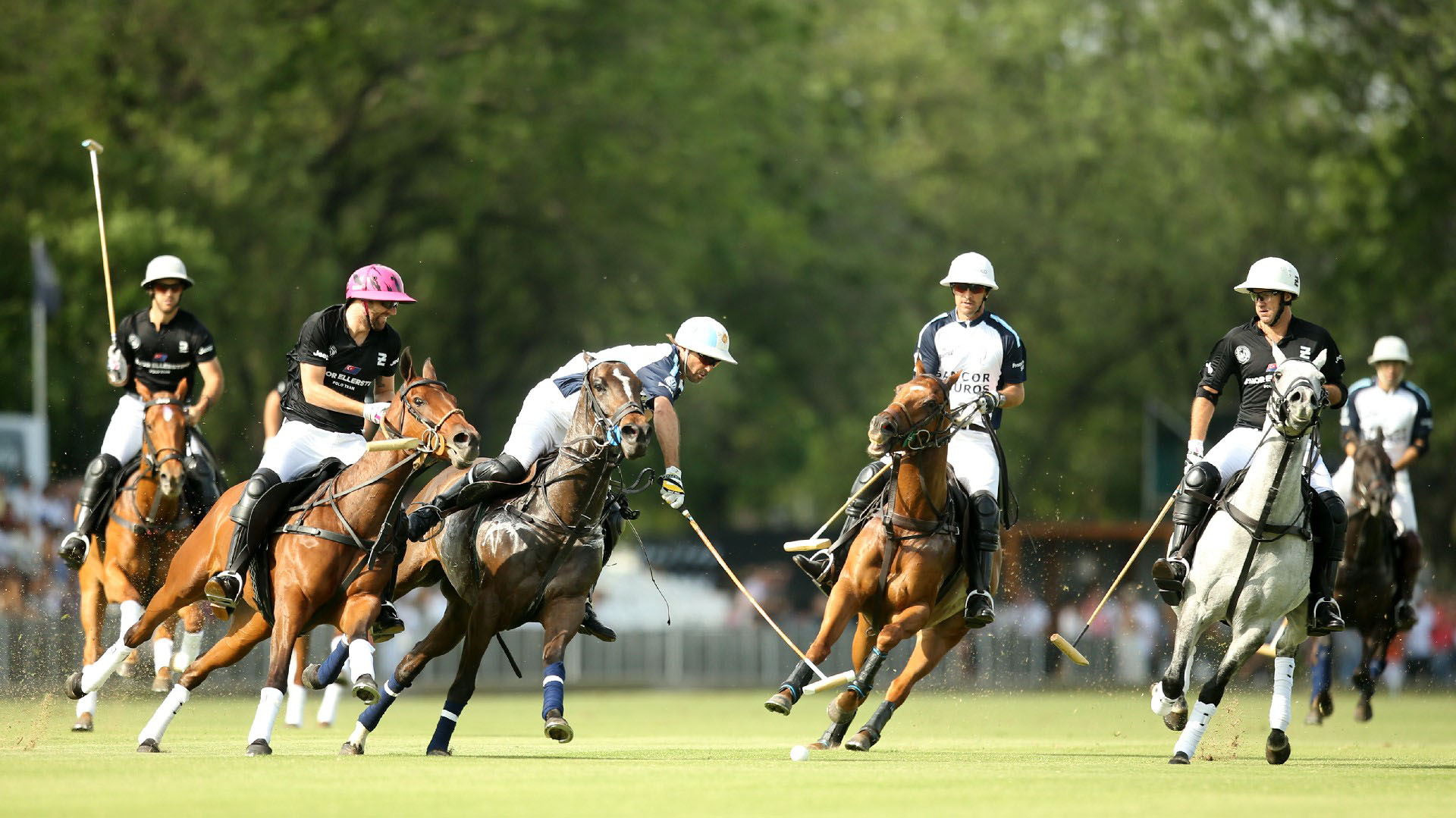 Entre los polistas, se destacaron las presencias de Adolfo Cambiaso, Facundo Pieres, Juan Martín Nero, Gonzalo Pieres (h.), Polito Pieres, Pablo Mac Donough y el uruguayo David Stirling, todos jugadores con 10 de handicap