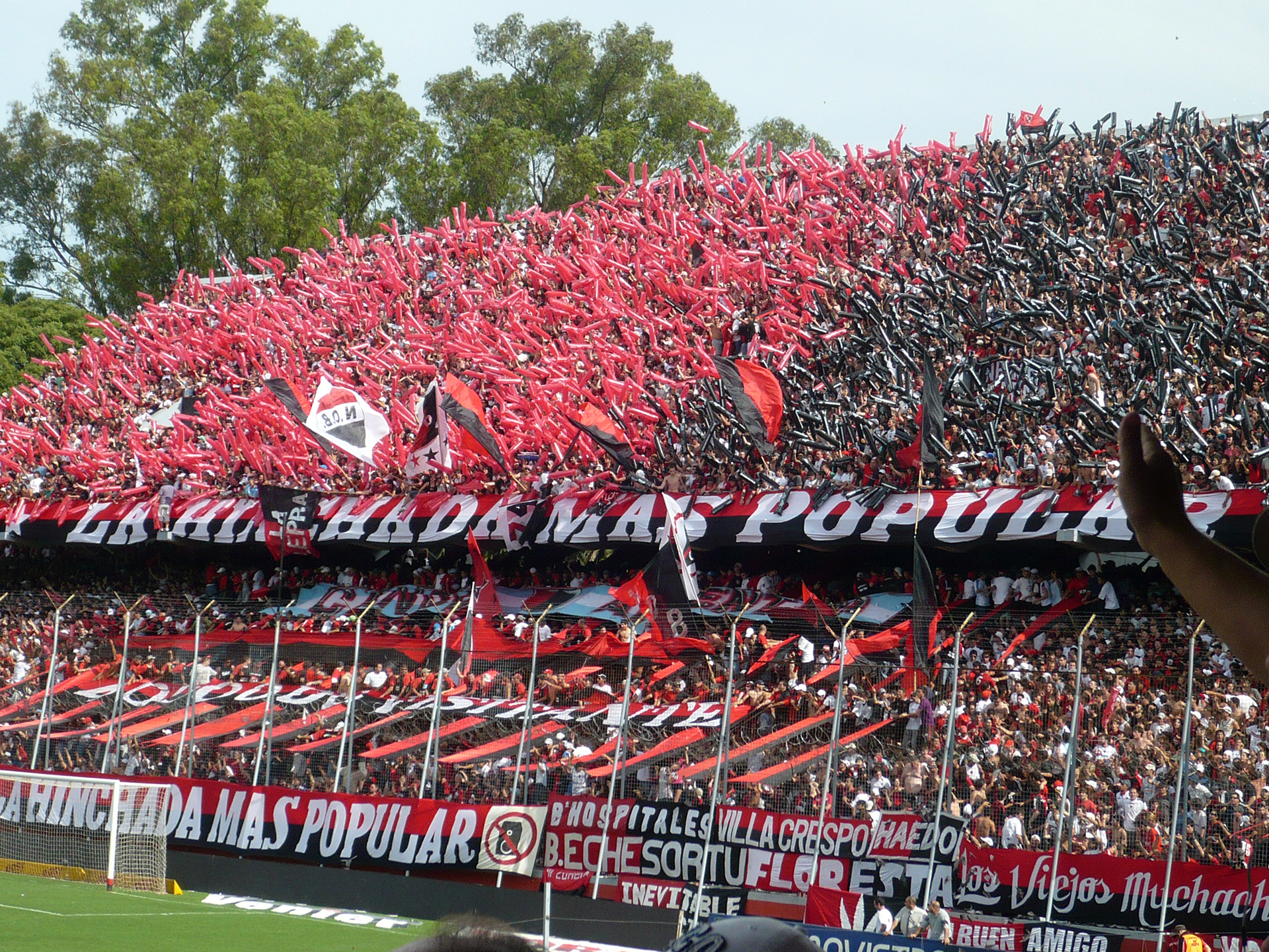 newells SF