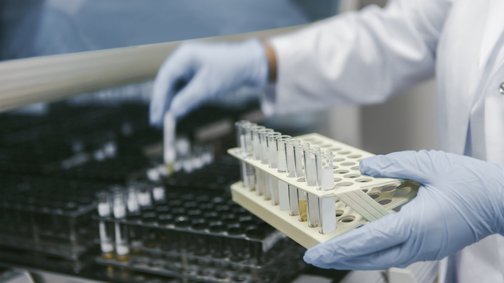 Para la producción de la vacuna se utilizarán células de insecto infectadas con un baculovirus (IStock)