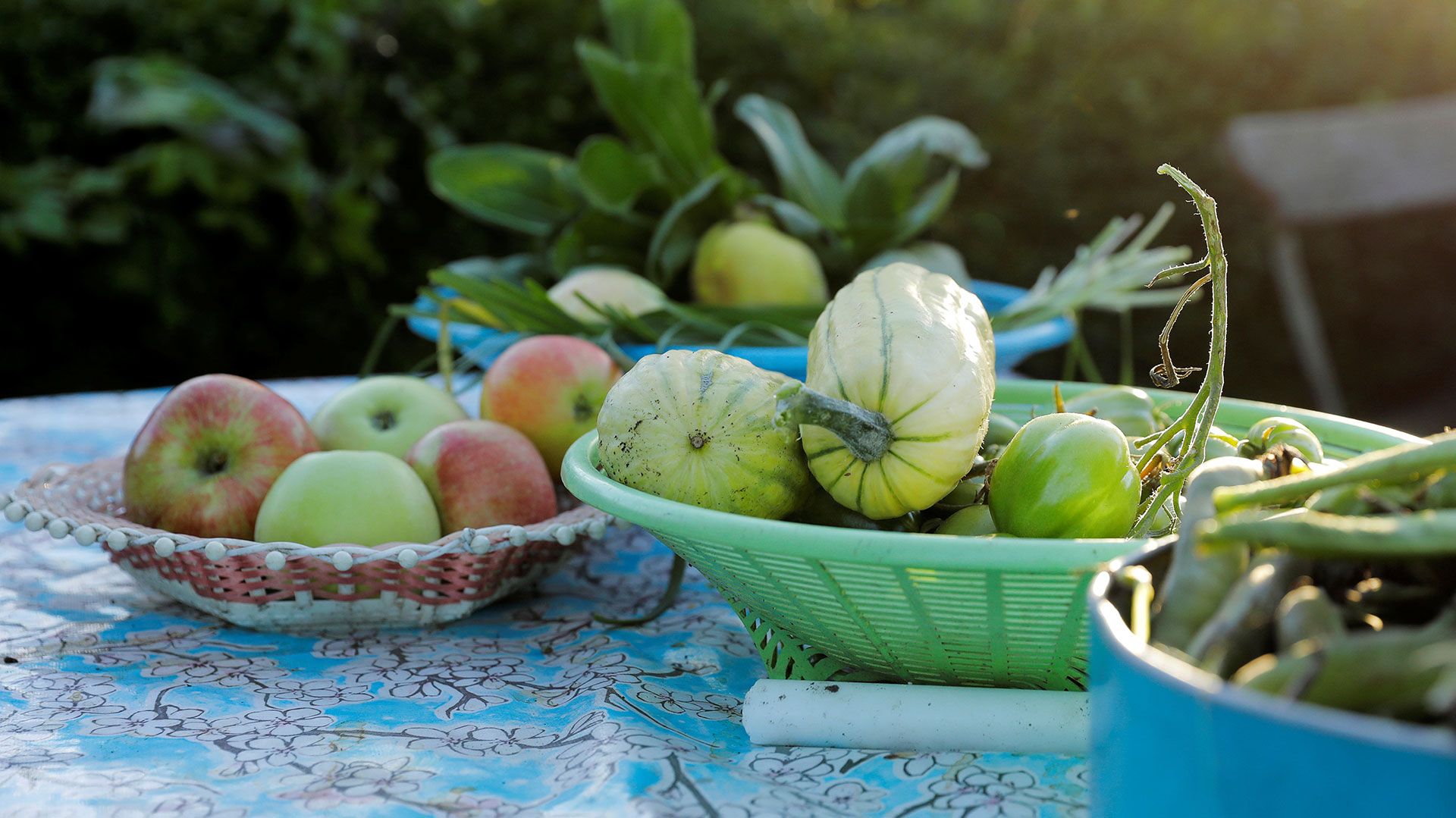 Algunas de las frutas y verduras que Israelsson cosechó en su huerta (Reuters)