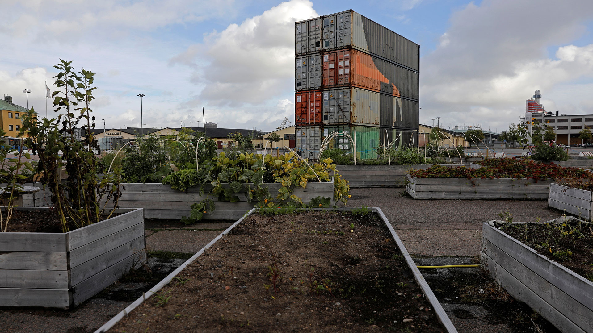 Jubileumsparken es un jardín comunitario en Gotemburgo, la segunda ciudad de Suecia después de Estocolmo, con casi 550 mil habitantes (Reuters)