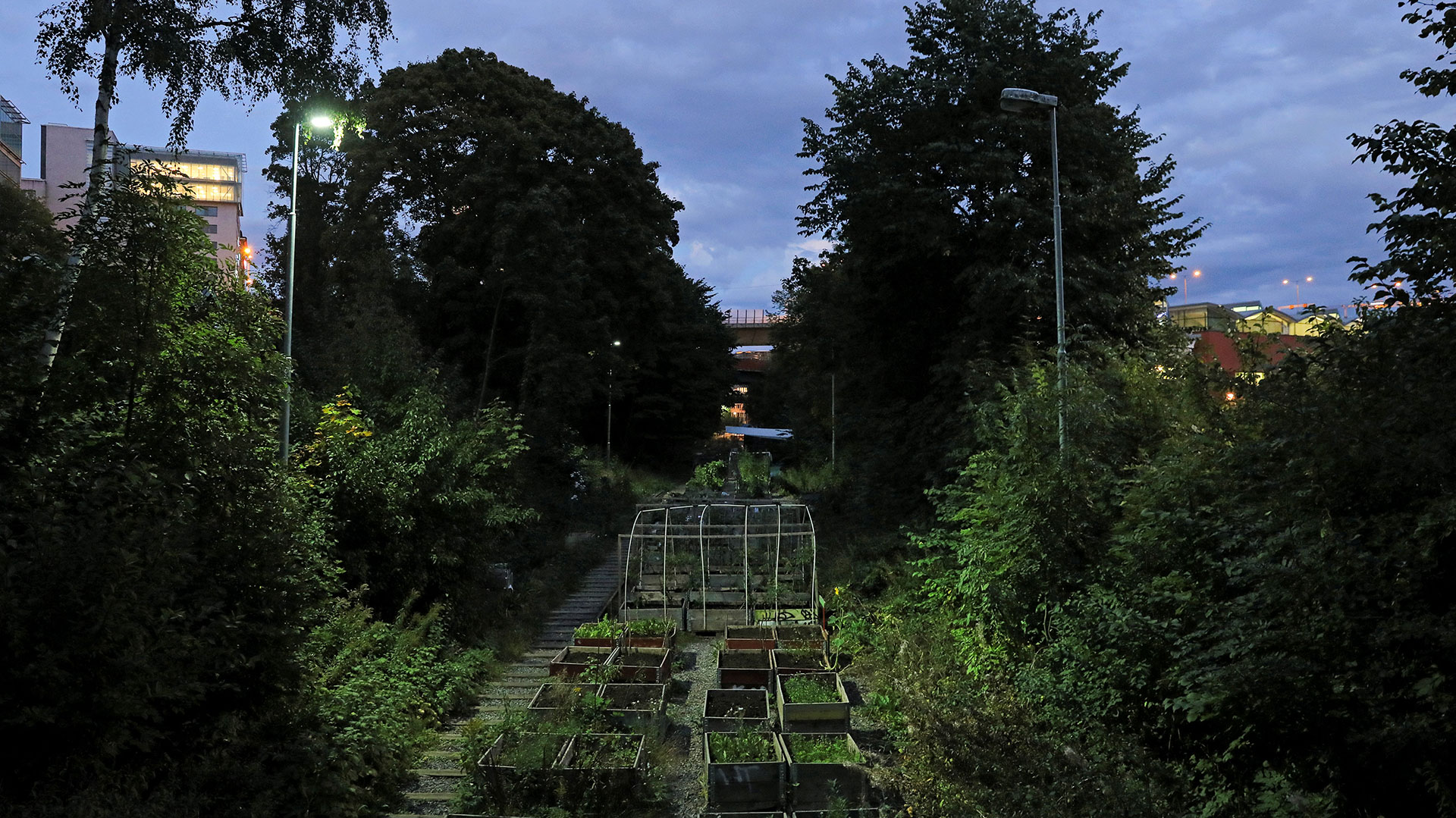 Tradgard pa Sparet (Jardín en la Vía) es un espacio verde urbano desarrollado en los terrenos abandonados de un ferrocarril, en Estocolmo (Reuters)