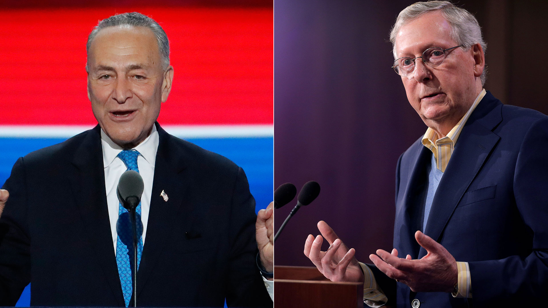 Chuck Schumer y Mitch McDonell