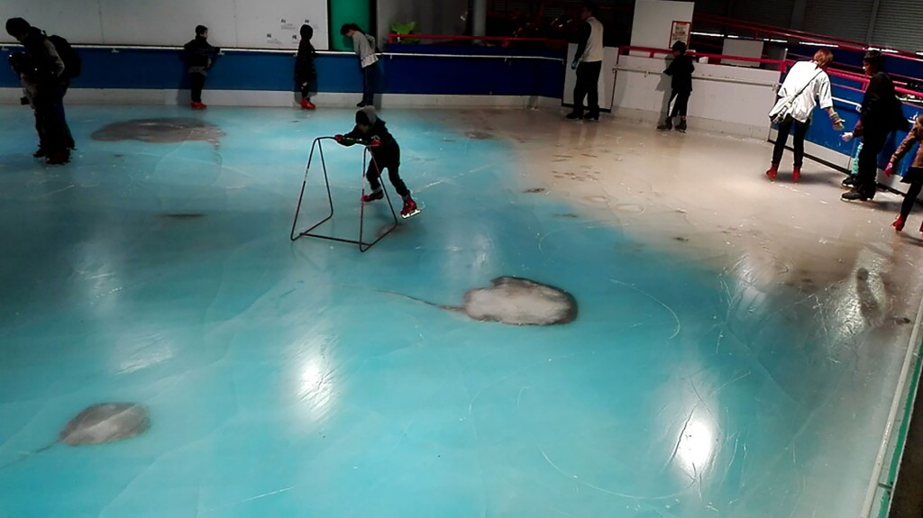 La pista contenía unas 25 clases distintas de peces (AFP)