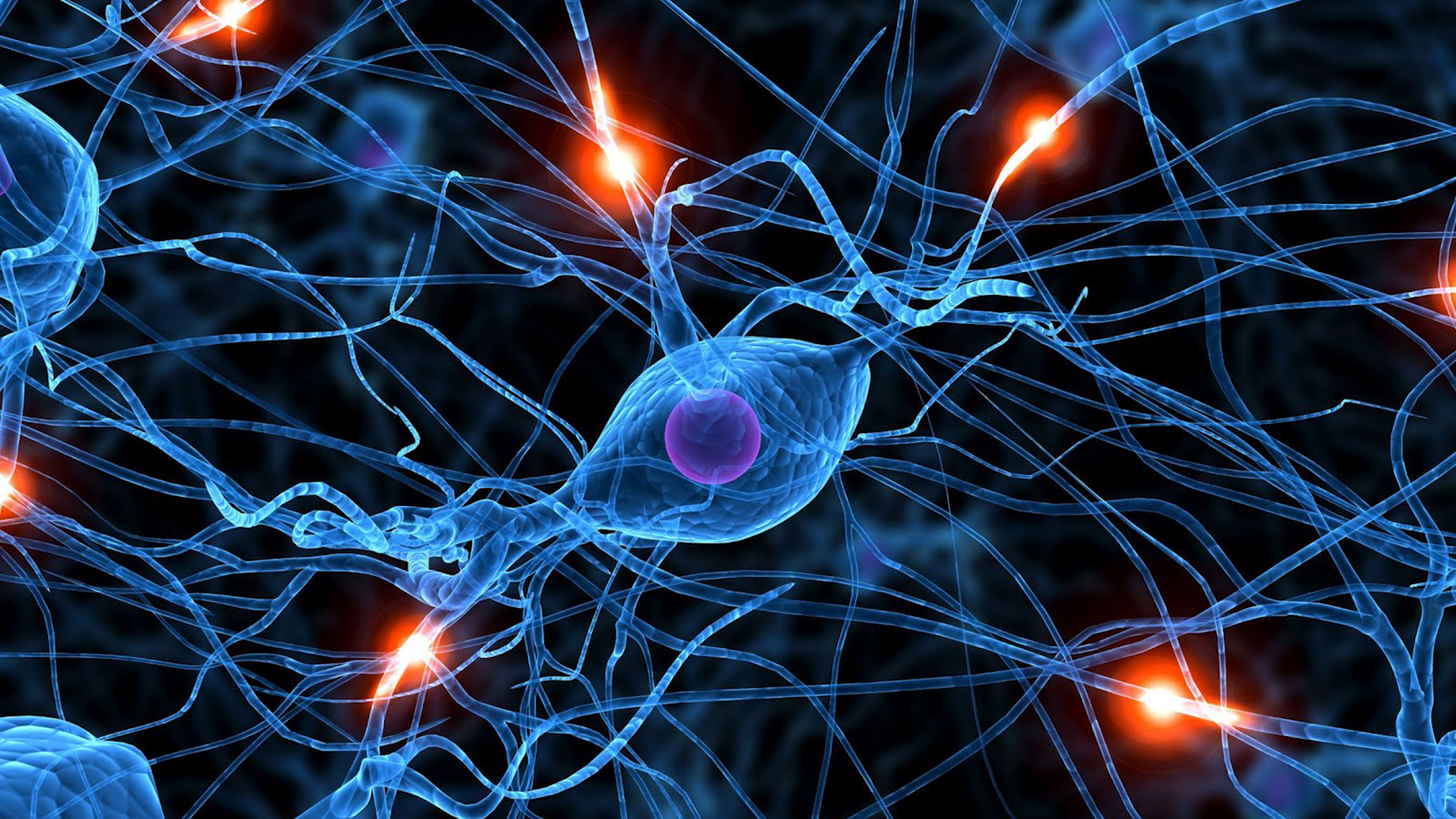 Durand y su equipo observaron un “salto” de onda a través de un corte que habían hecho en el corte de tejido cerebral, un fenómeno, que concluyeron, solo podía explicarse por el acoplamiento del campo eléctrico. Una y otra vez, la onda cerebral parecía saltar a través de la brecha vacía Foto: (Archivo)