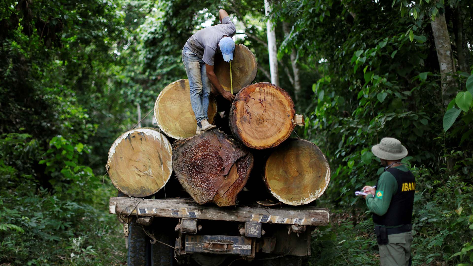 Los agentes de IBAMA lograron disminuir el ritmo de la deforestación en casi un 80 por ciento (REUTERS/Ueslei Marcelino)