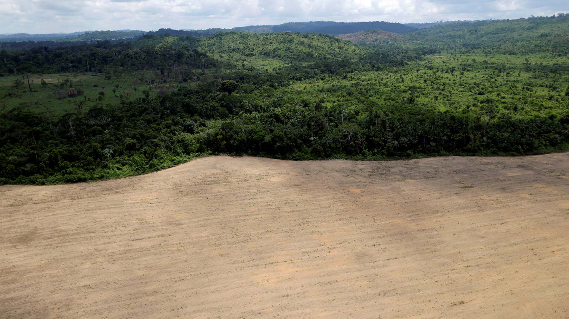 La selva amazónica es el bosque tropical más extenso del mundo (REUTERS/Ueslei Marcelino)
