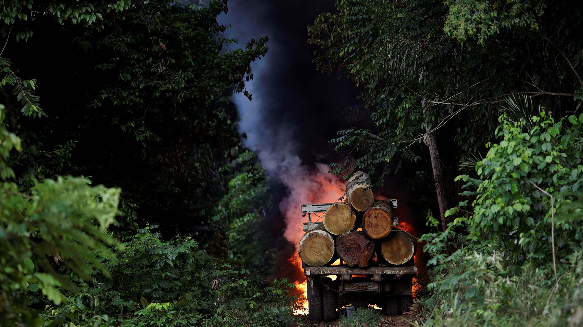 Un camión cargado de troncos es quemado por agentes del IBAMA (REUTERS/Ueslei Marcelino)