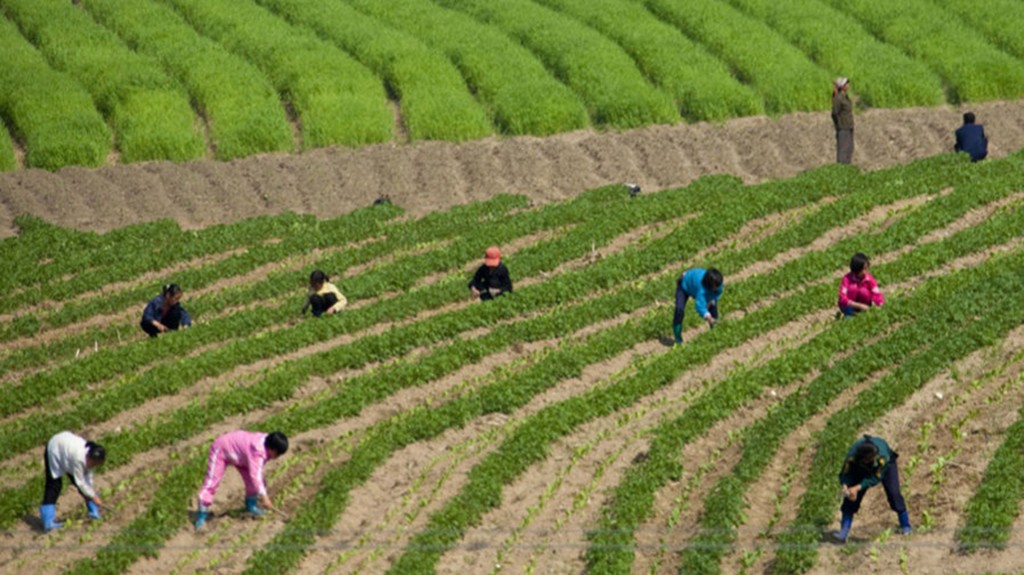 Según explicó, cuando los tiempos son difíciles los niños deben trabajar en el campo