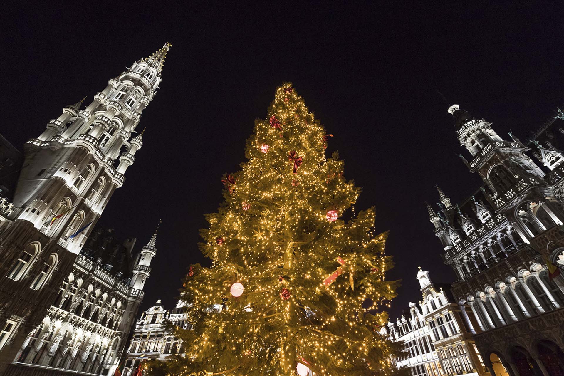 Un arbol navideño en la Grand Place, Bruselas, Bélgica