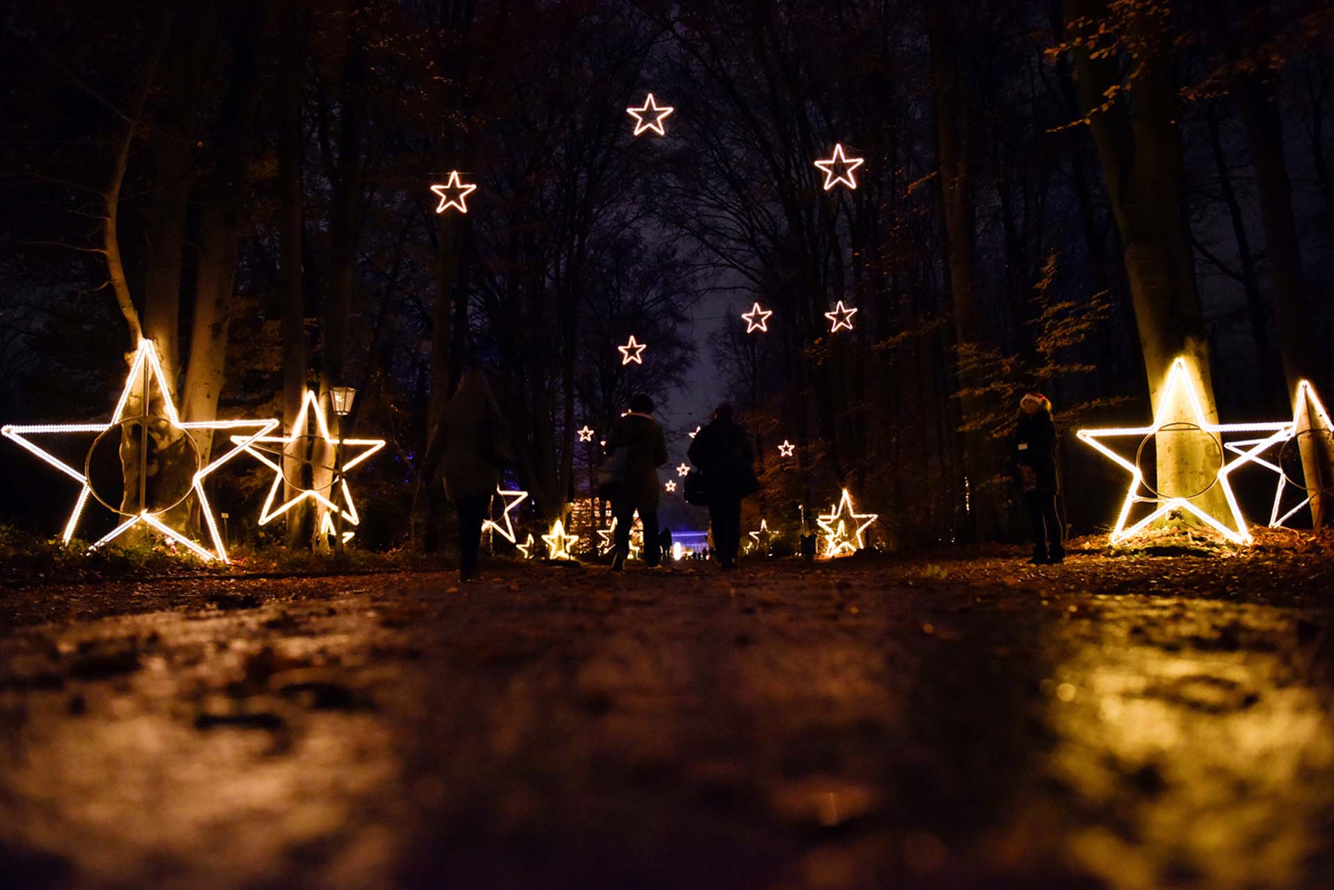 Los visitantes caminan a lo largo de objetos iluminados durante el evento de jardín de Navidad en el Jardín Botánico de Berlín, Alemania