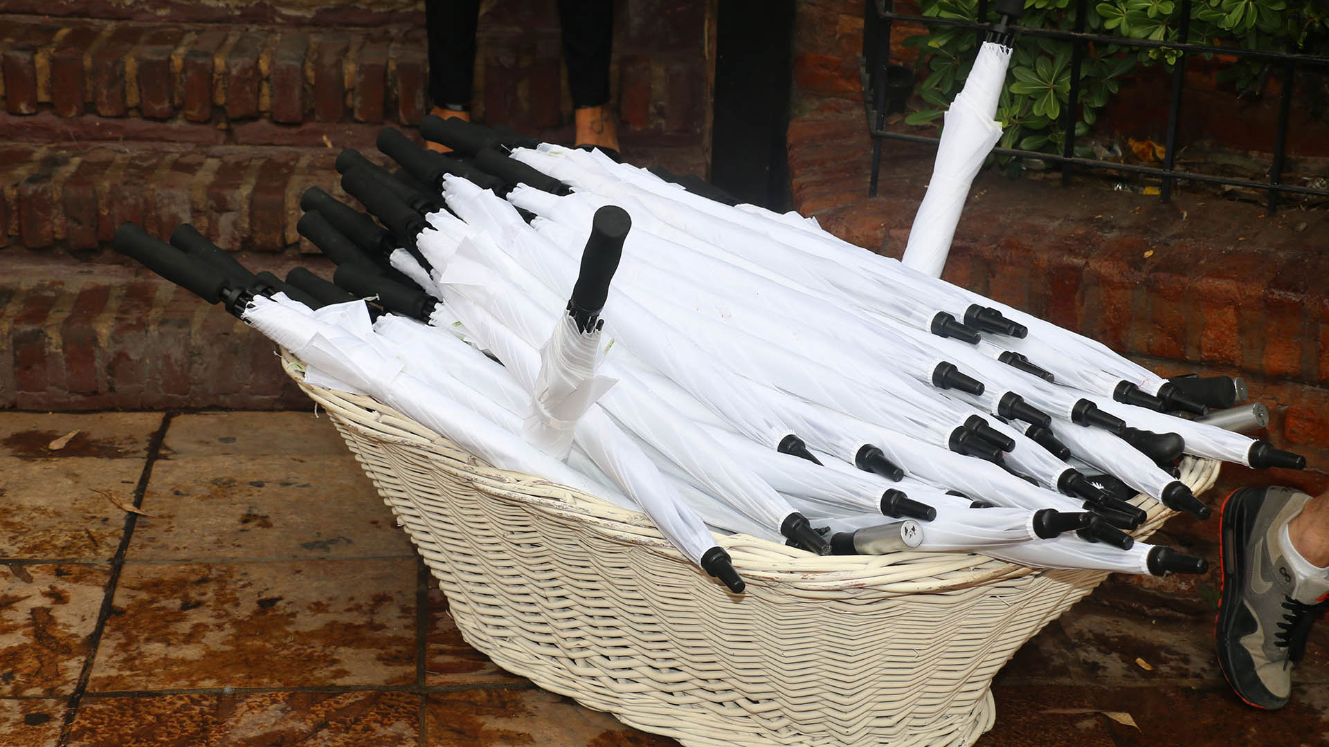 La lluvia amenazó toda la mañana, pero los paraguas de cortesía no fueron necesarios