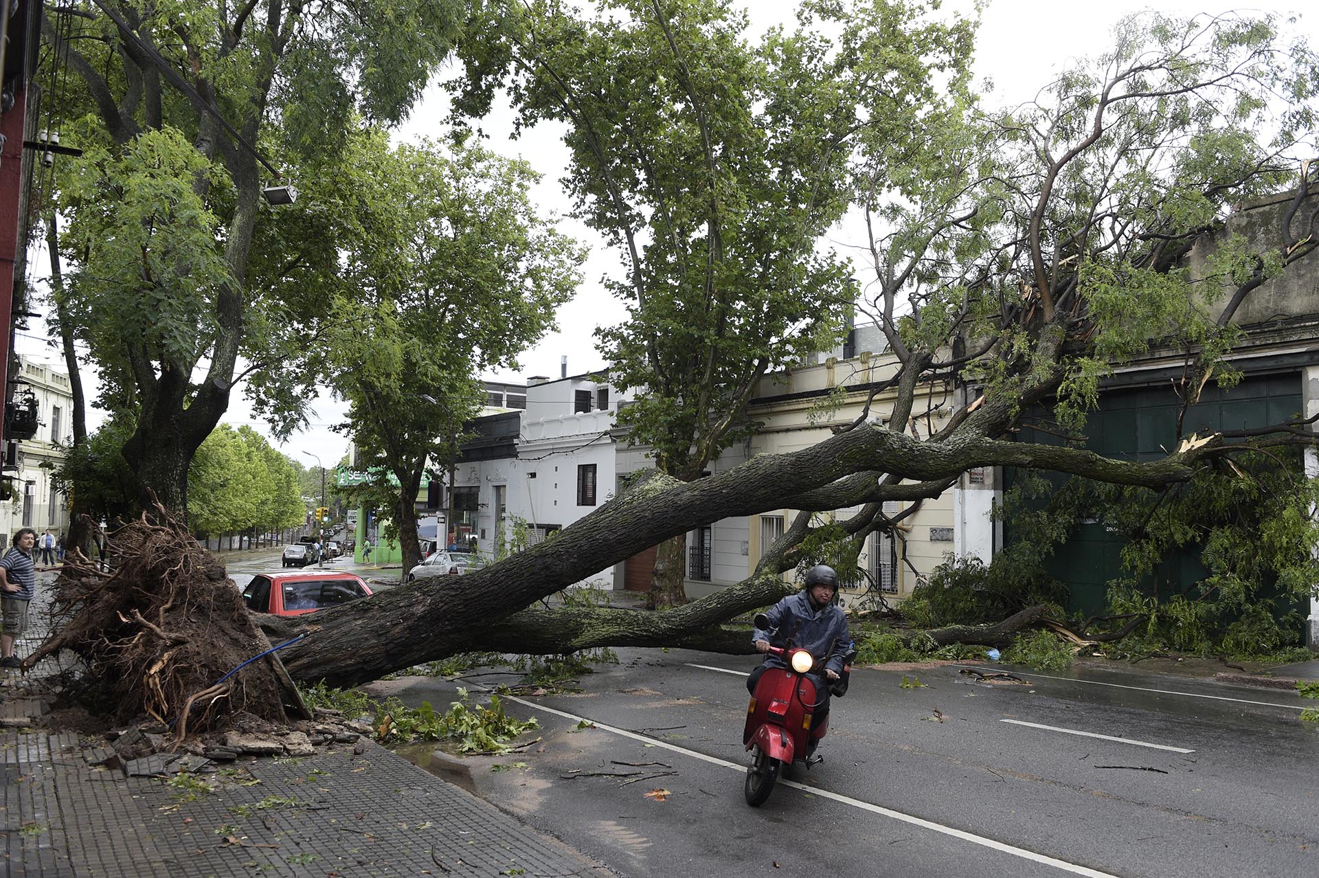 Una “masa de aire inestable” provocó hoy intensas tormentas en Uruguay, que afectaron especialmente a las provincias del este y Montevideo y dejaron, además de destrozos materiales, sin suministro eléctrico a unas 34.700 personas, según datos de la compañía estatal eléctrica (UTE)