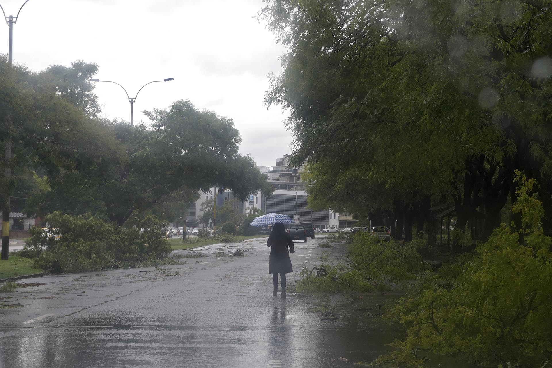 El organismo señaló que las tormentas se mantendrán hasta el jueves, por lo que el organismo seguirá monitoreando la situación