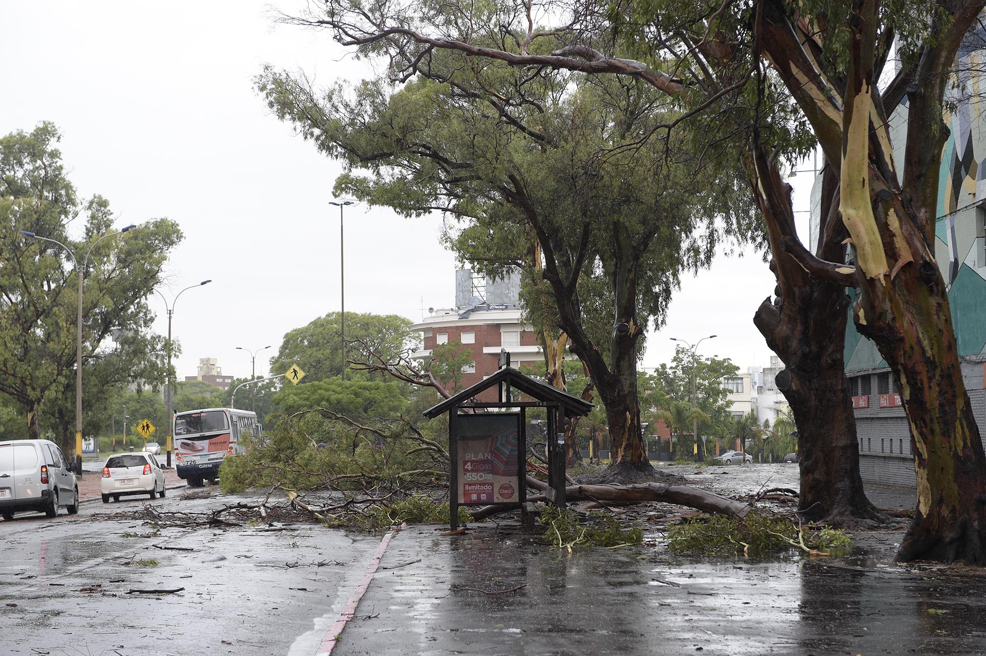 En este sentido, Renom explicó que el fenómeno meteorológico que afectó Montevideo consiste en “tormentas severas” conformadas por “ráfagas de viento mayores a 120 kilómetros por hora, lluvias intensas y granizo”