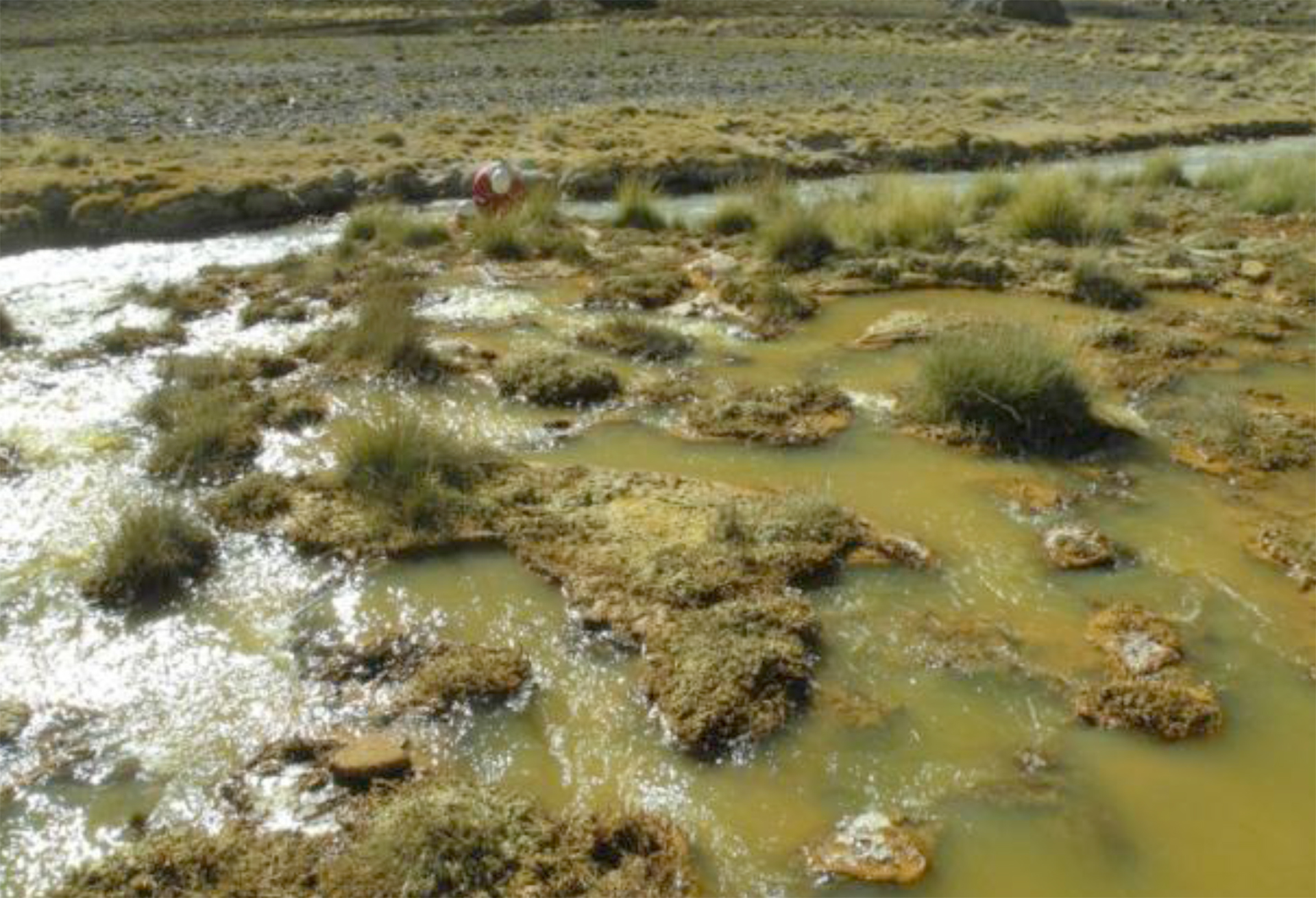 Estas son las vegas contaminadas que el gobierno de San Juan aseguró que no existen.
